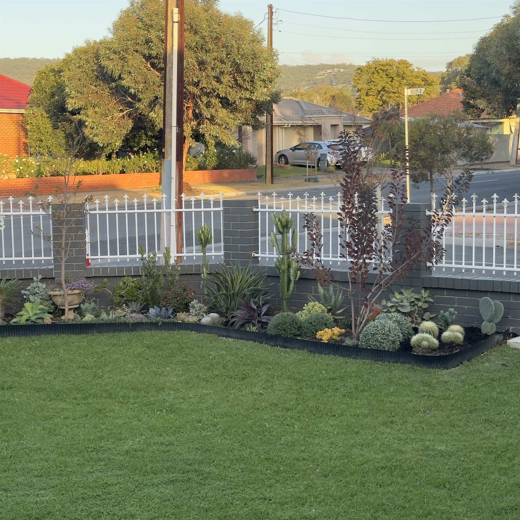 Established garden context showing layered planting and structure