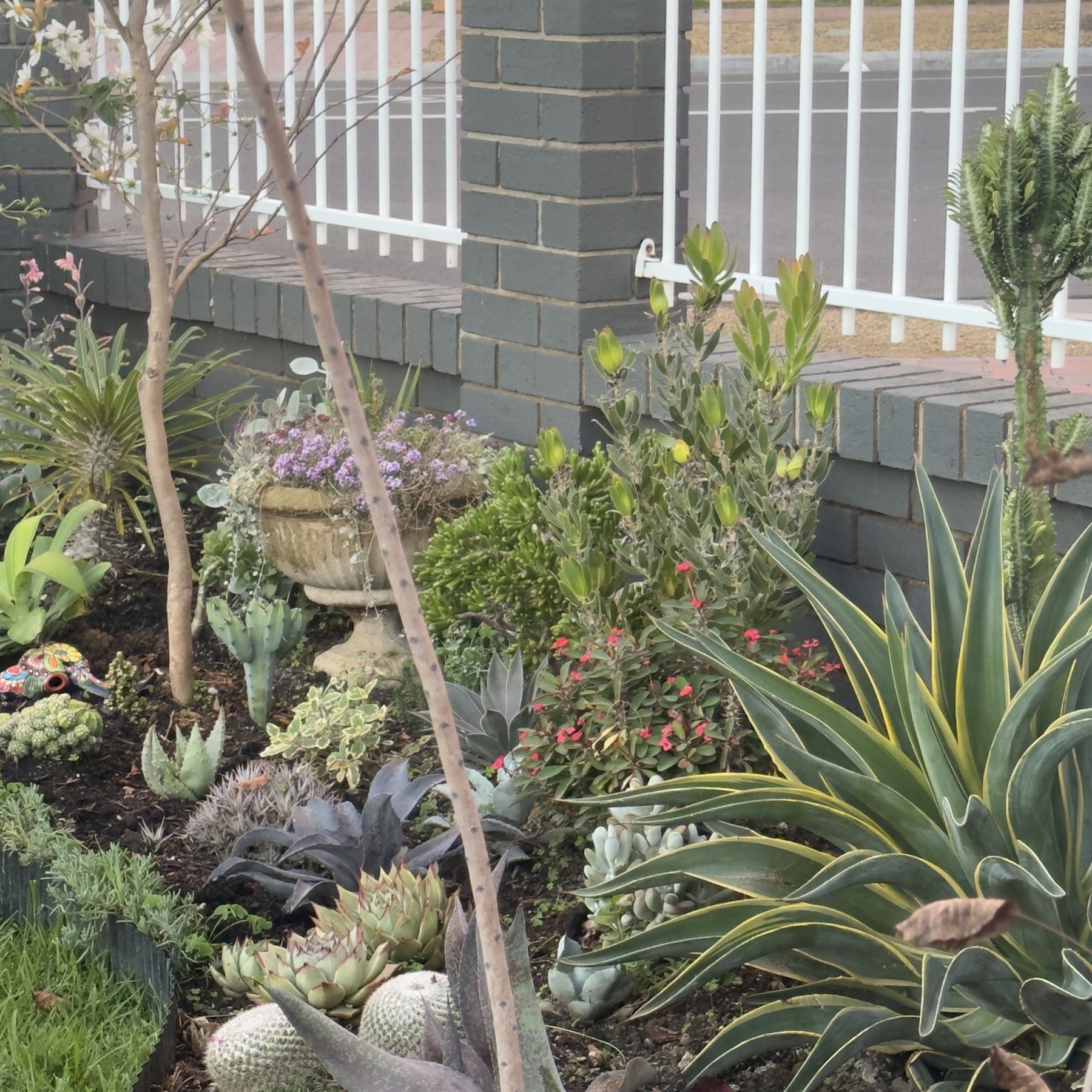 Layered residential garden planting with rich texture, healthy structure and natural seasonal detail