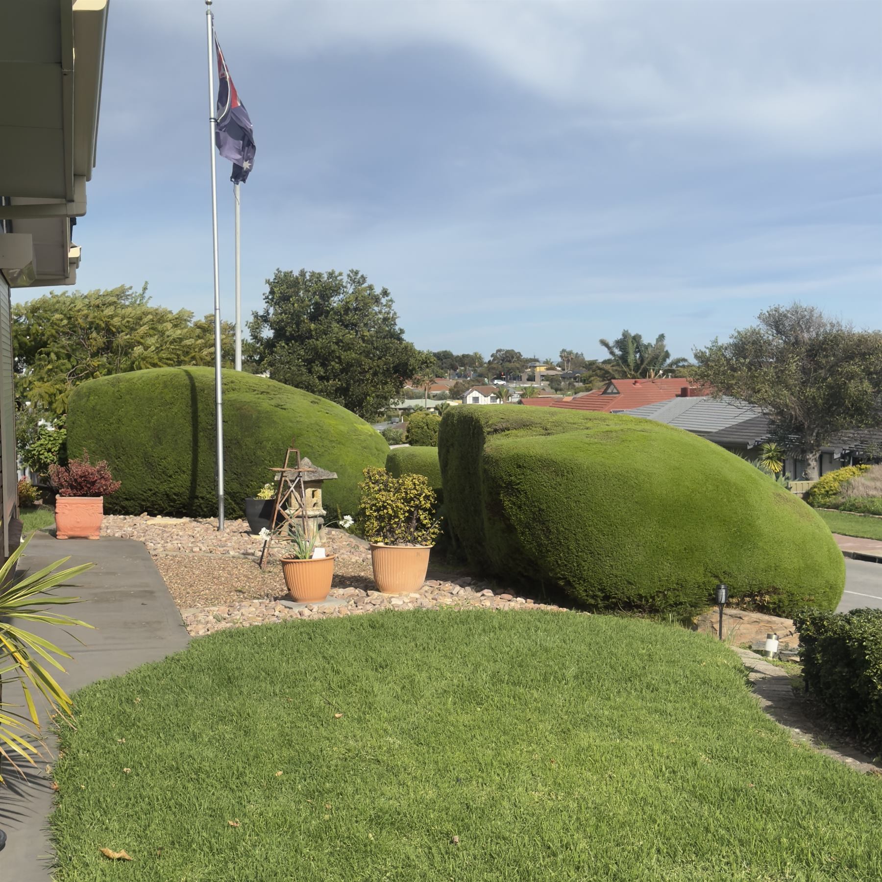 Structured garden frontage with clipped form, clear edges and maintained planting