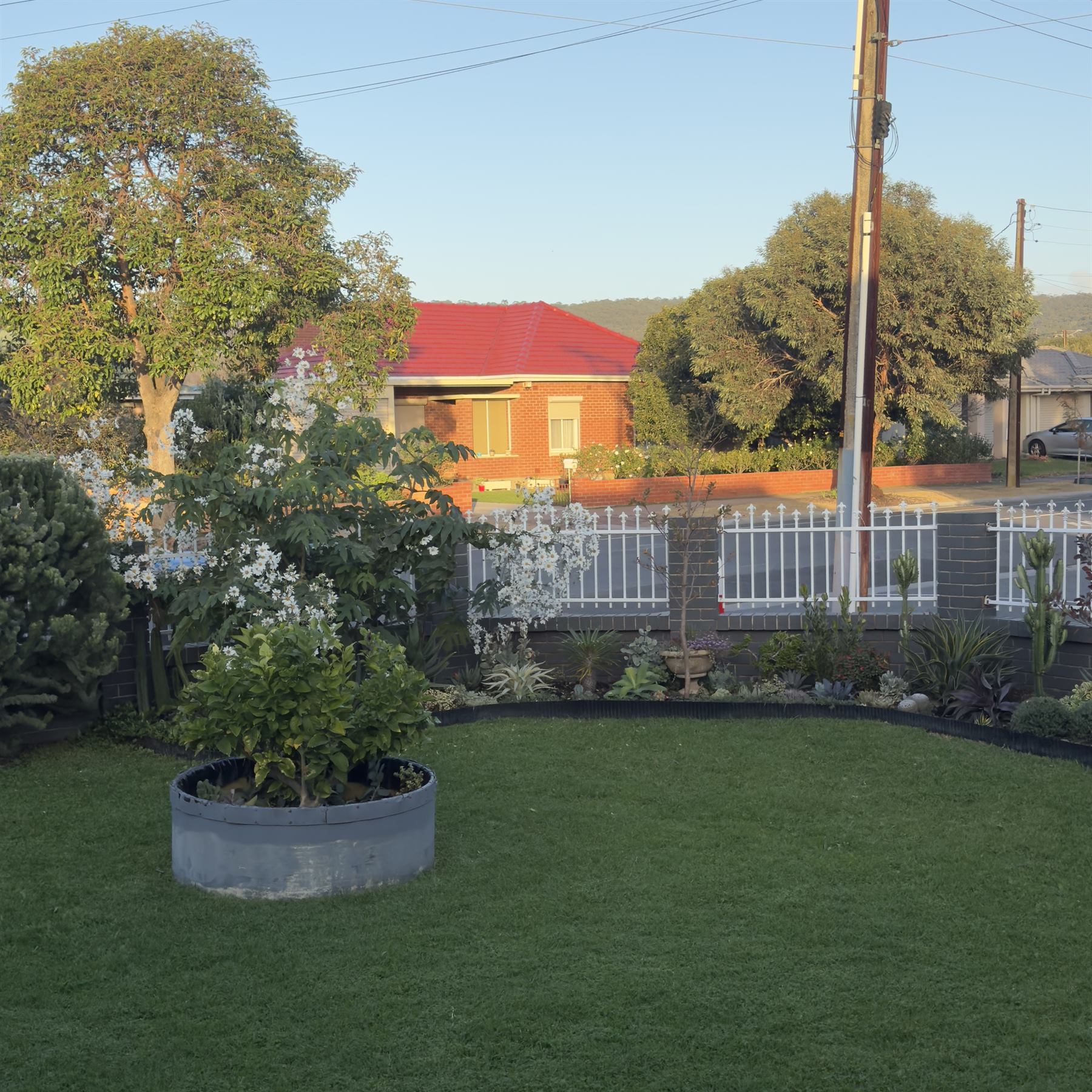 Garden area after a defined edge and layered planting filled the border