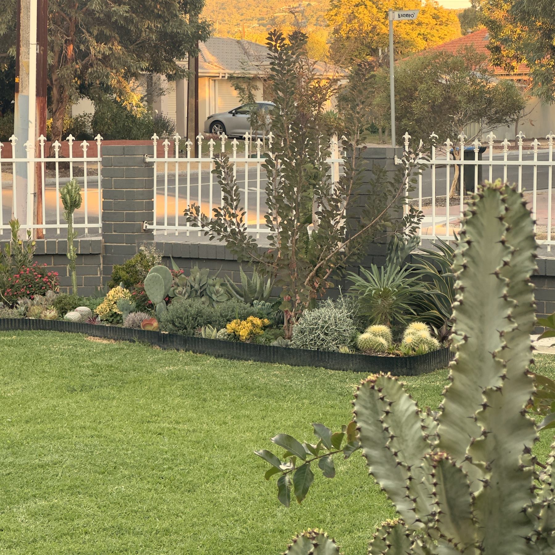 Warm-toned maintained residential garden with established planting and tidy presentation