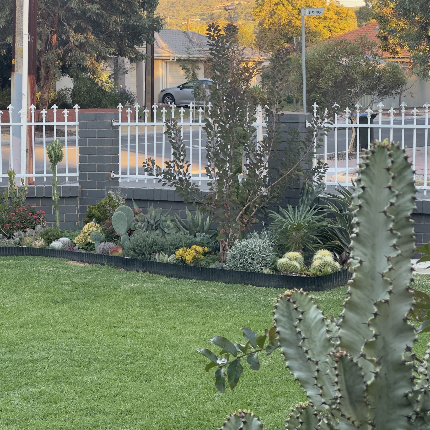 Maintained garden beds with clear edges and settled planting