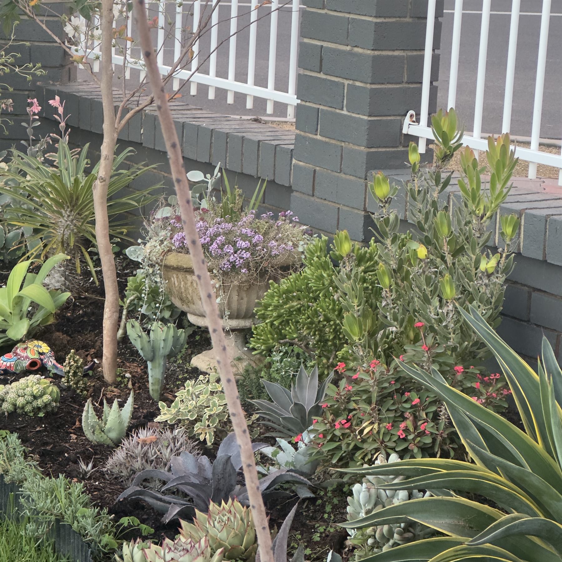 Garden bed with mulch and established planting after soil and presentation work