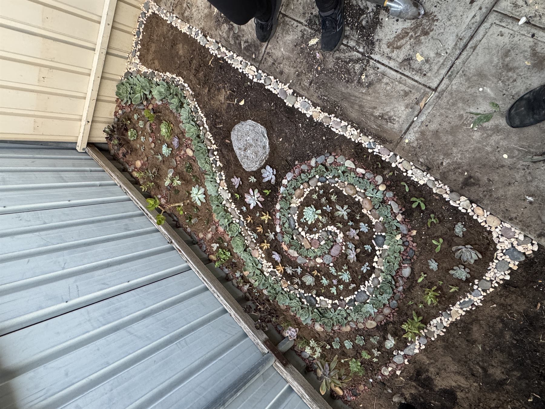 Garden planting work with young plants and prepared soil