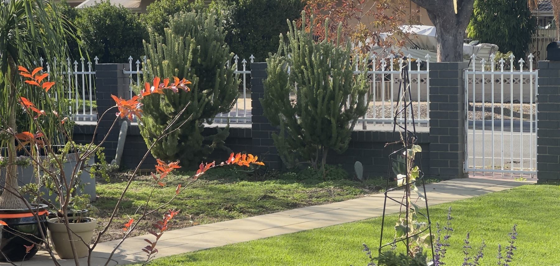 Established garden with good structure and planting ready for focused refinement