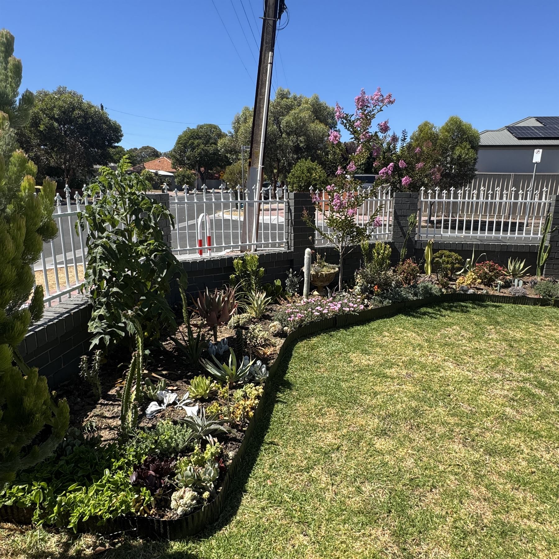Established residential garden with layered planting, clipped structure and long-term care
