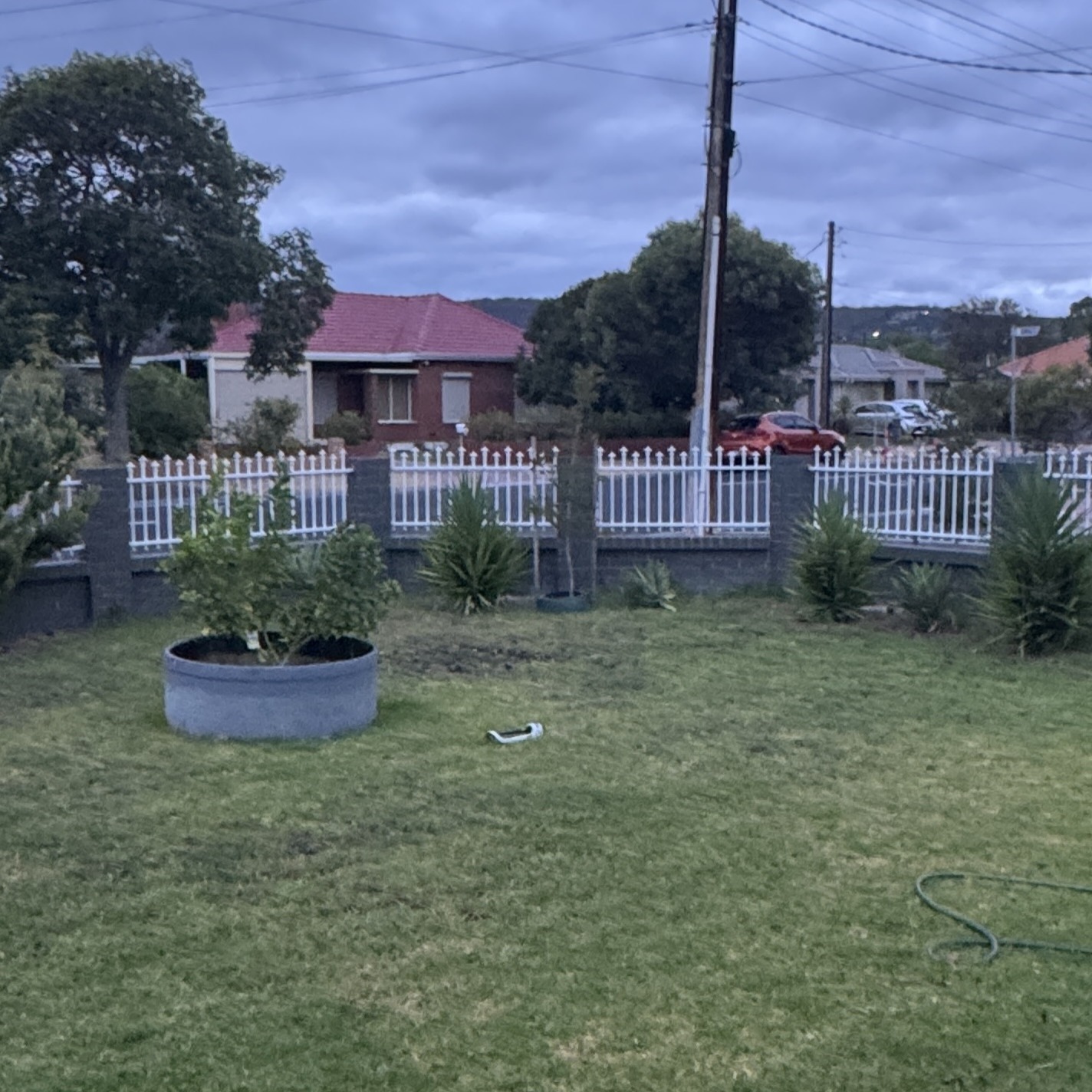 Garden area before edge and planting adjustments